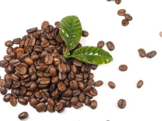 دانه قهوه بلند روبوستا پی بی 80% - عربیکا اوگاندا 20% اونس